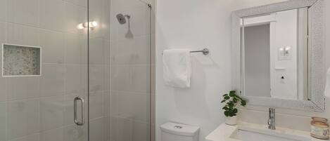 A modern bathroom with a glass shower enclosure, a white sink with a mirror, and a small potted plant.