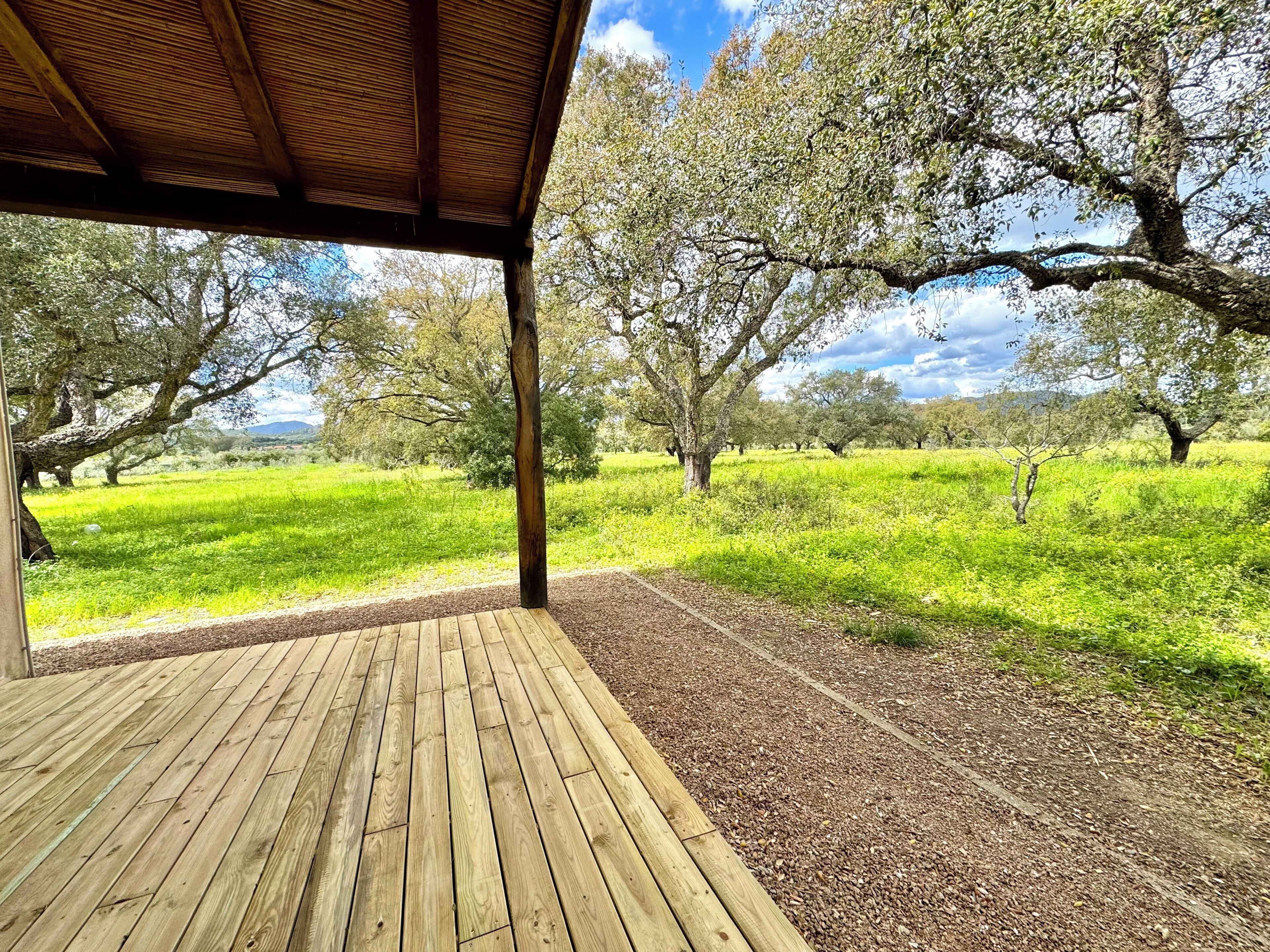 Une terrasse en bois offrant une vue sur un champ verdoyant et des arbres.