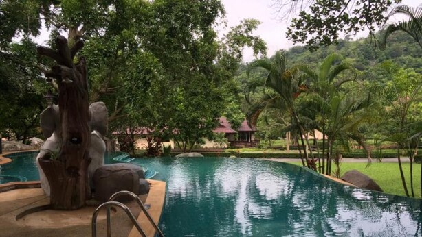 Ein Swimmingpool mit einer Steinskulptur, umgeben von üppiger Vegetation und einem kleinen Gebäude im Hintergrund.