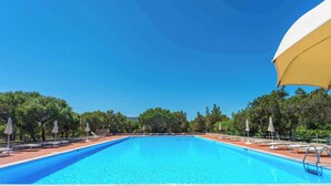 Une piscine d’un bleu éclatant, bordée de chaises longues et d’ombrelles, et entourée d’arbres.
