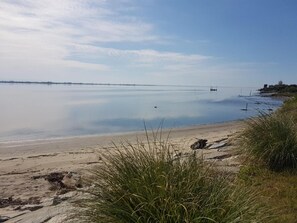 A beach with calm water, a distant shoreline, and some vegetation in the foreground. - See U Inn (Murtosa)