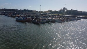 A marina with numerous boats docked. - See U Inn (Murtosa)
