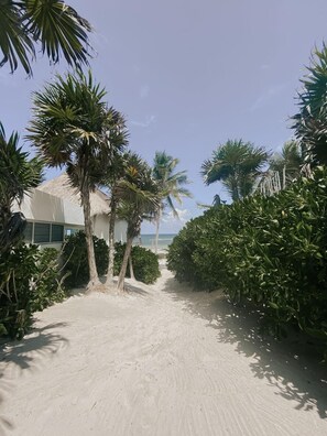 Playa
