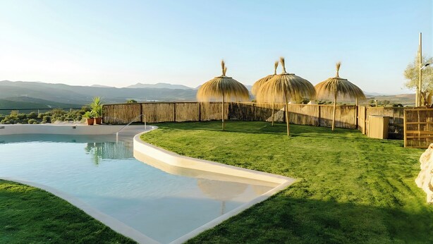 A swimming pool, a grassy area, and three thatched-roof structures.