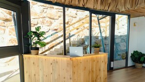 A reception desk with a laptop, potted plants, and a stone wall in the background.