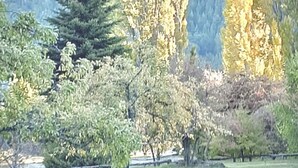 A wooden fence in a park with trees and a mountain in the background. - Apartments Bariloche - Moreno Lake (San Carlos de Bariloche)