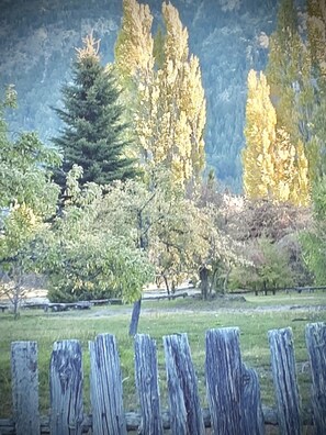 A wooden fence in a park with trees and a mountain in the background. - Apartments Bariloche - Moreno Lake (San Carlos de Bariloche)