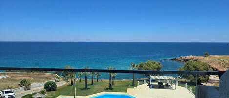 A pool with a clear view of the sea, a grassy area with trees, and a white car parked nearby.