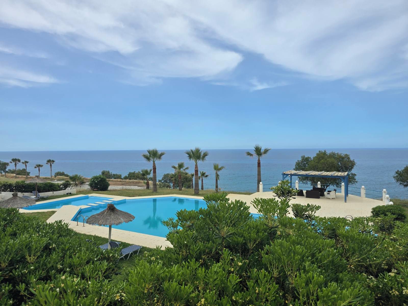 Una piscina con vista al mar, rodeada de palmeras y vegetación.