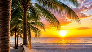 A beach with palm trees and a sunset.