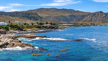 Scuba diving, surfing