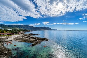 Scuba diving, surfing