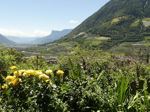 Un paysage rural avec une vallée, des montagnes et un champ de fleurs jaunes.
