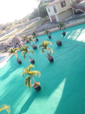 A rooftop garden with potted palm trees and a building in the background. - Express Inn Coronado & Camping (Nueva Gorgona)