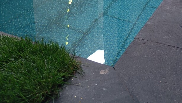 A swimming pool with a tiled edge, surrounded by walls with a textured pattern. - De La Charis Hotel (Tulungagung)