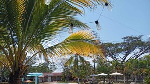 A swimming pool with lounge chairs and umbrellas, surrounded by palm trees and a building in the background. - Hotel Saman Del Rio (Yopal)