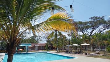Piscina com espreguiçadeiras e guarda-sóis, cercada por palmeiras e um edifício ao fundo.