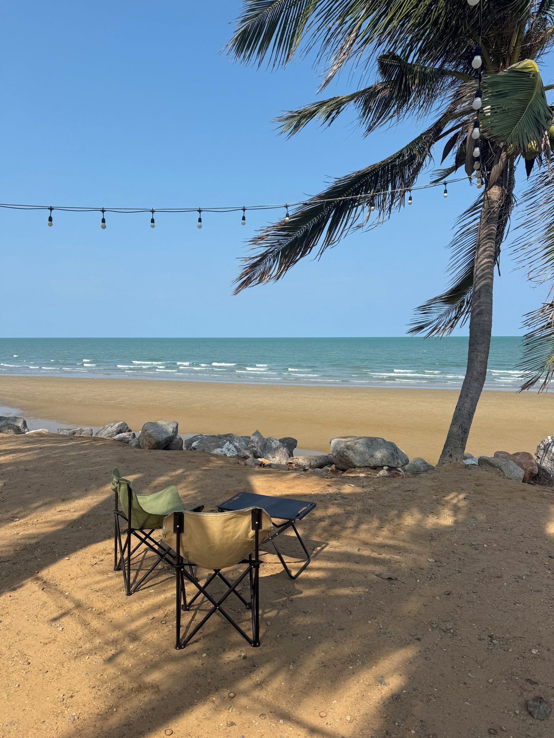 A beach with a palm tree, a string of lights, and a folding chair.