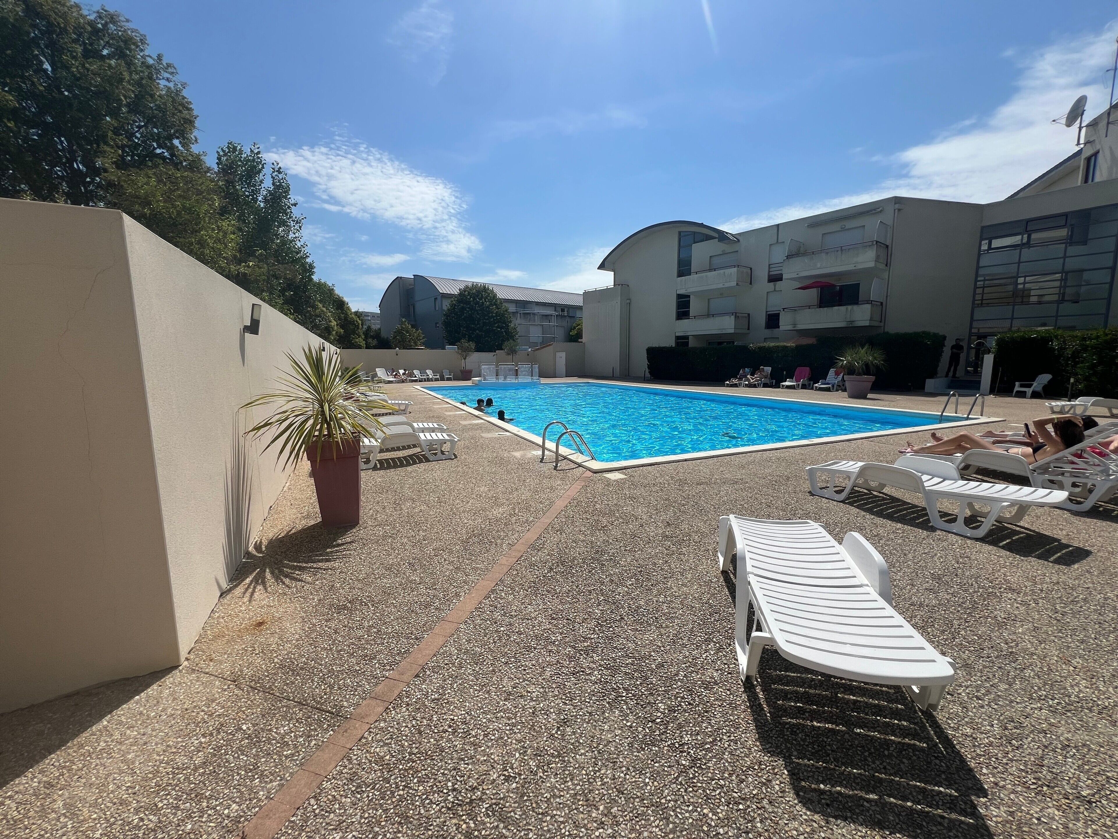 A swimming pool with lounge chairs and a potted plant.