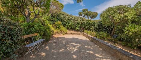 A gravel path with a bench and a lamp post, surrounded by dense greenery and trees.