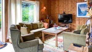 Smart-TV, Kamin