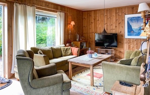 Smart-TV, Kamin