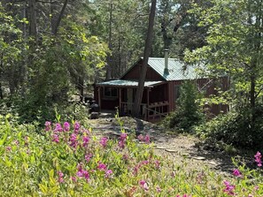 Eine rustikale Holzhütte, umgeben von dichtem Wald, mit einem Feldweg, der zum Eingang führt.