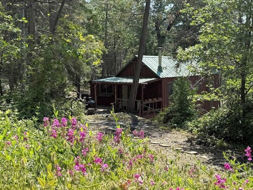 Little Cabin In The Woods/ Camp Sierra/ Big Creek