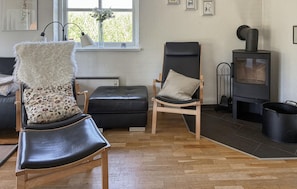 TV, fireplace, DVD player - Lovely home in Hvide Sande with sauna (Hvide Sande)