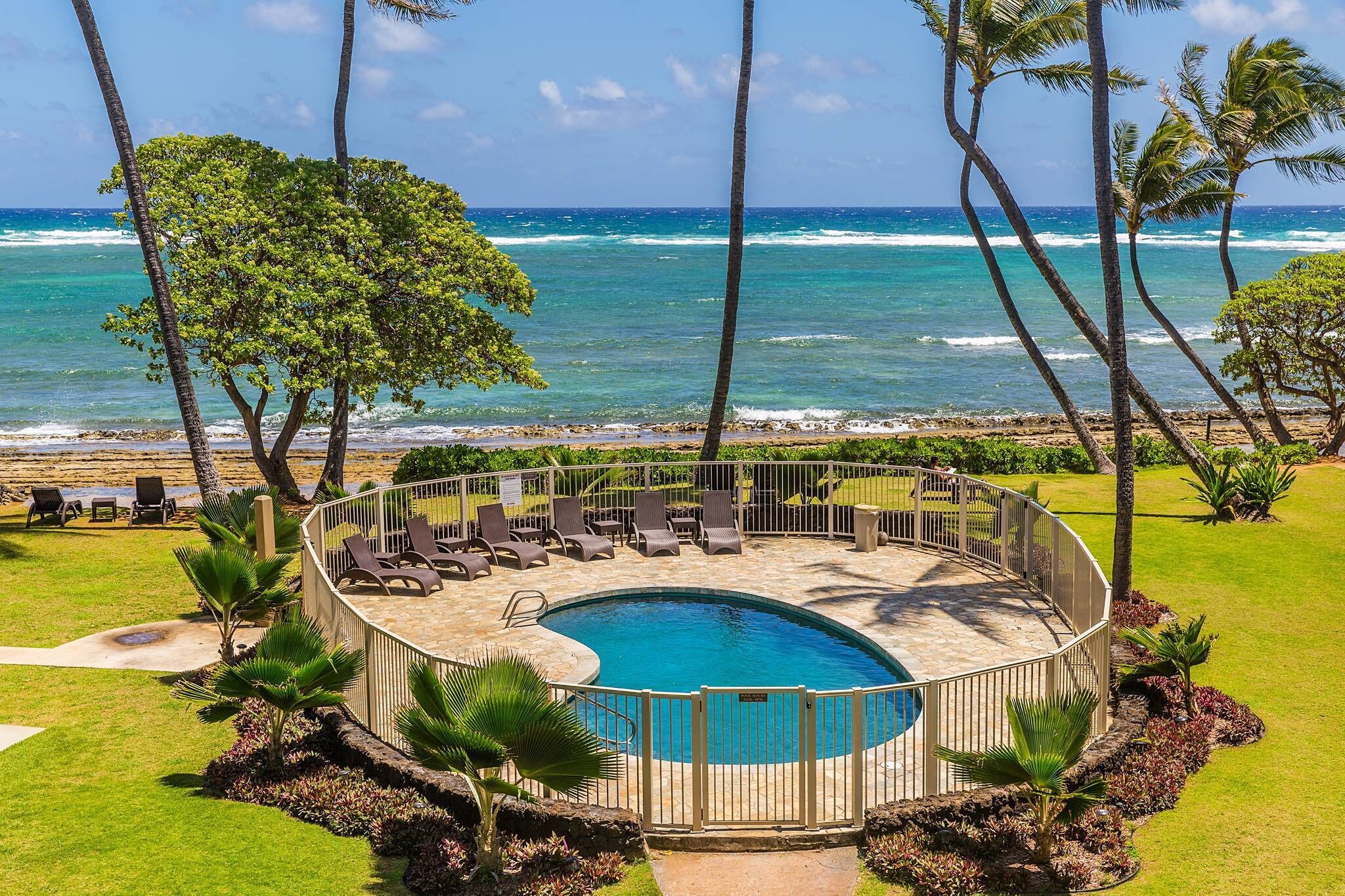A circular pool with a fence, surrounded by lounge chairs and palm trees, overlooking the ocean.