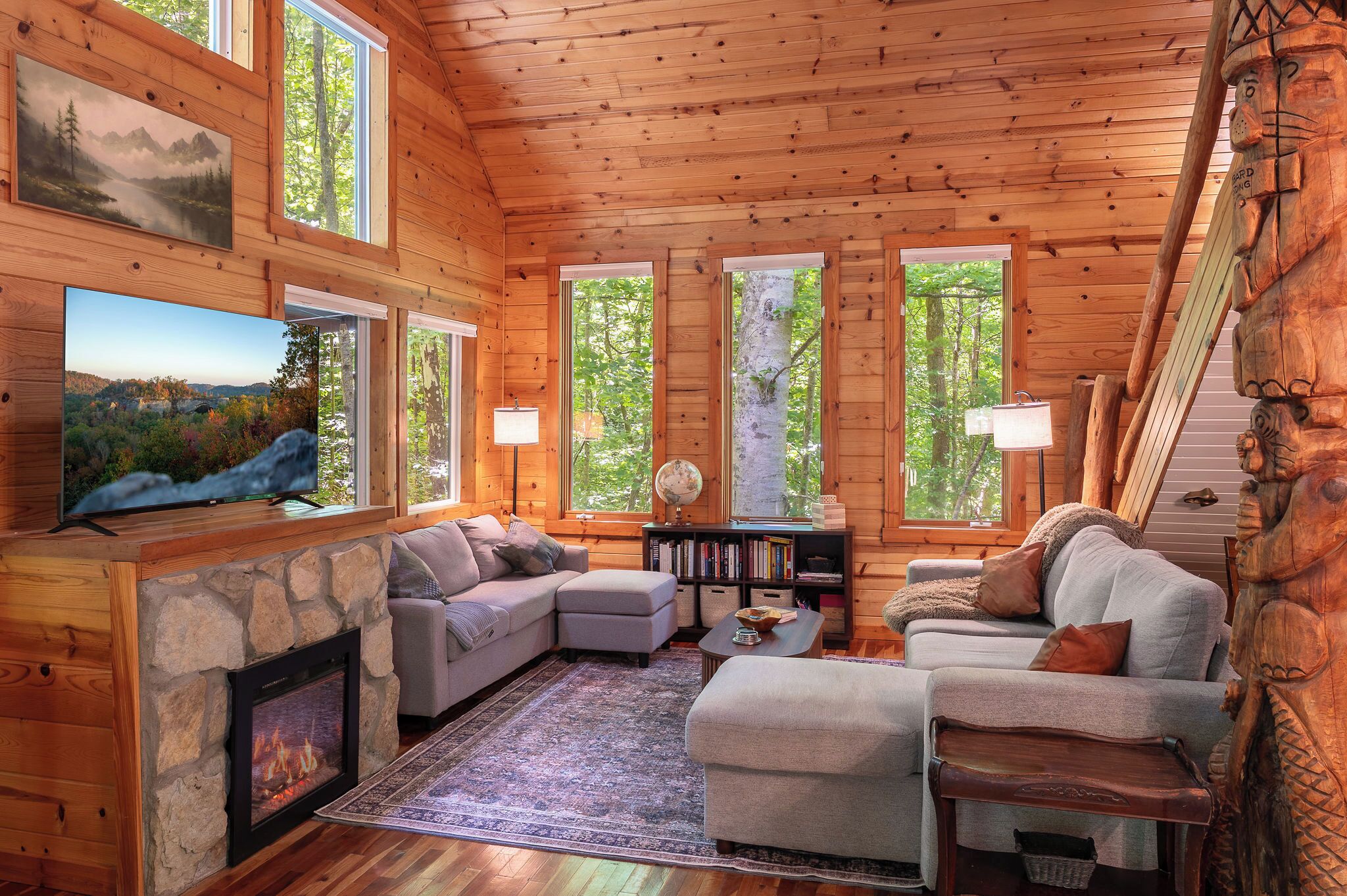 Smart TV, fireplace, books