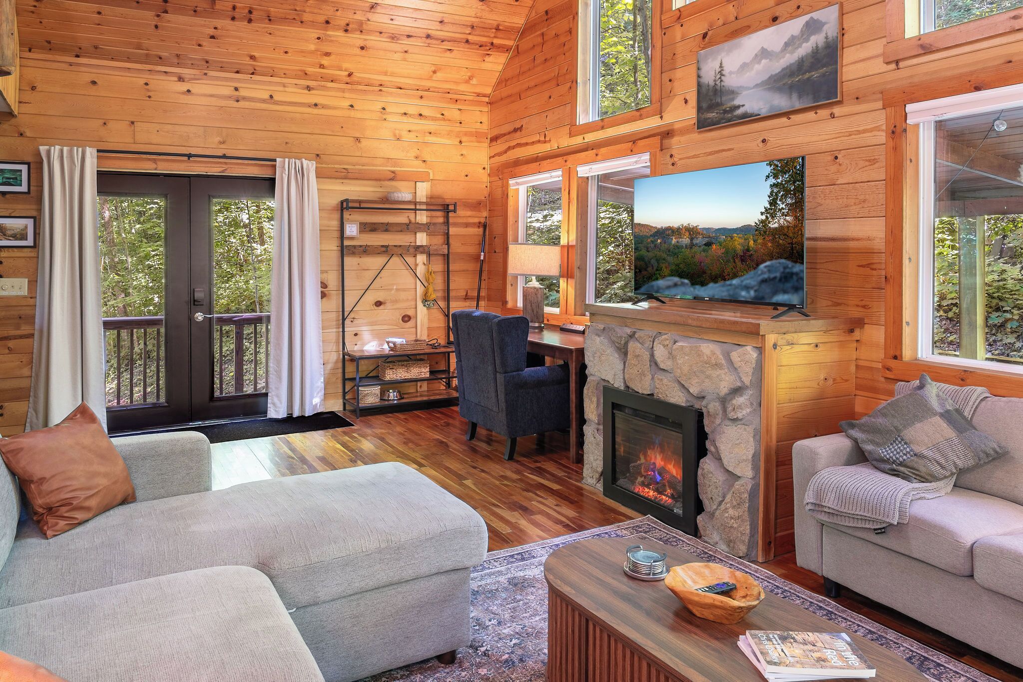 Smart TV, fireplace, books