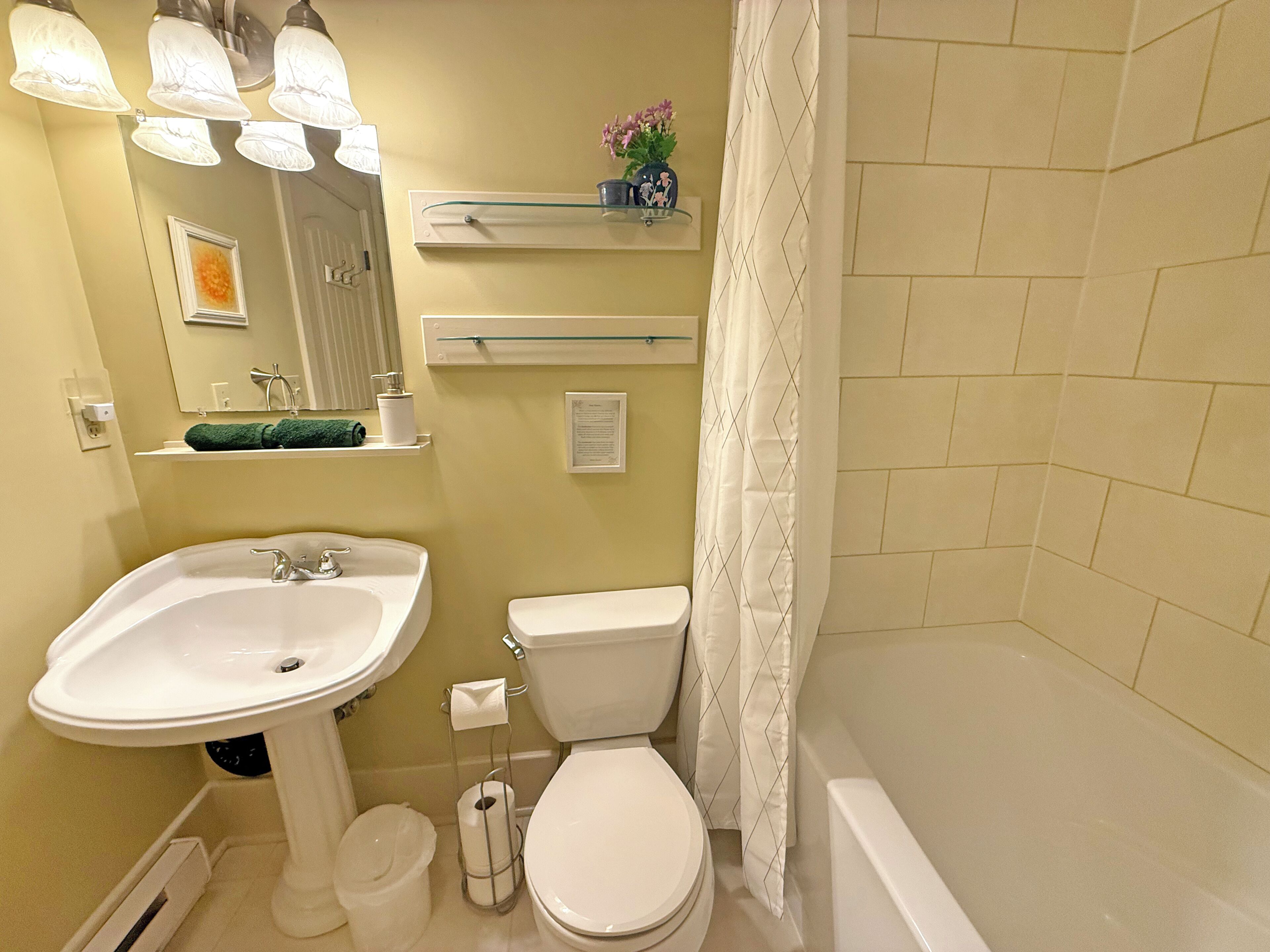 Hair dryer, towels, soap, toilet paper