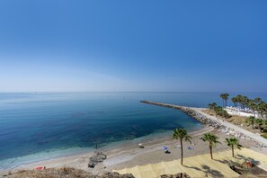 A beach with clear water, a rocky breakwater, and palm trees.