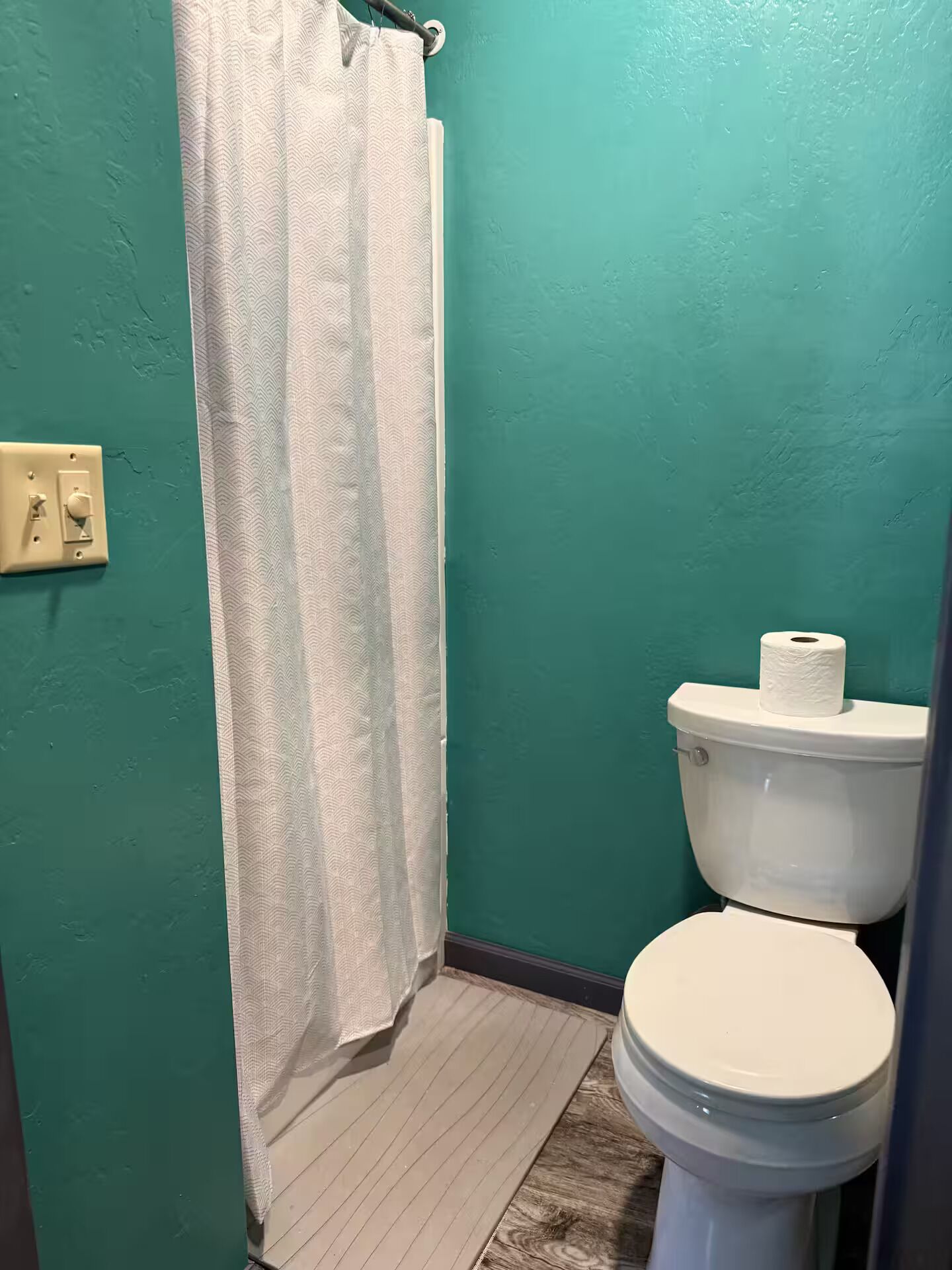 Ein Badezimmer mit Toilette, Duschvorhang und grüner Wand.
