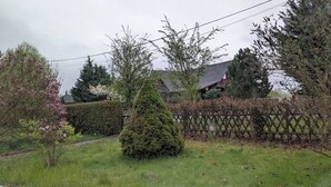 Ein gepflegter Garten mit Rasen, einem kegelförmigen Baum und einem Holzzaun.