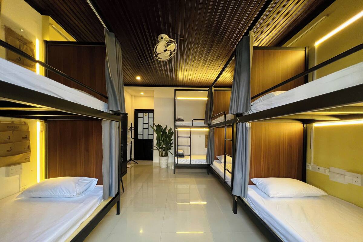 A bunk bed room with a wooden ceiling, a potted plant, and a door in the background.
