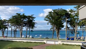 Vista de una zona costera con un camino pavimentado, árboles y un área verde.