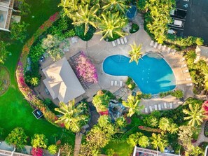 Eine Vogelperspektive zeigt ein Resort mit Schwimmbad, Liegestühlen, Palmen und einer überdachten Sitzgruppe.