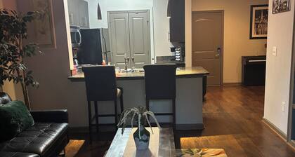 Luxury/Cozy 1-Bedroom Condo Retreat Dunwoody GA
