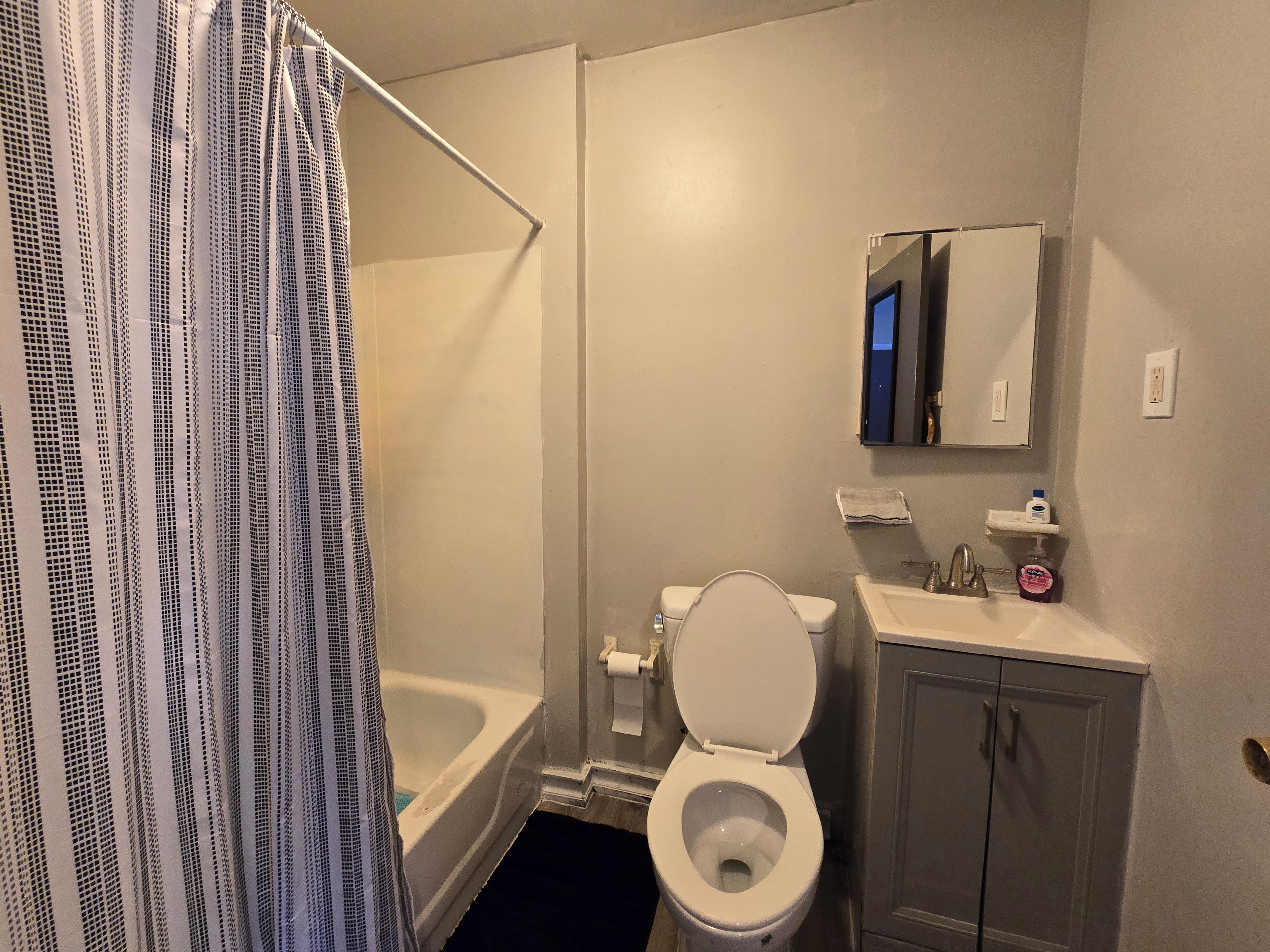 A bathroom with a toilet, sink, mirror, and shower curtain.