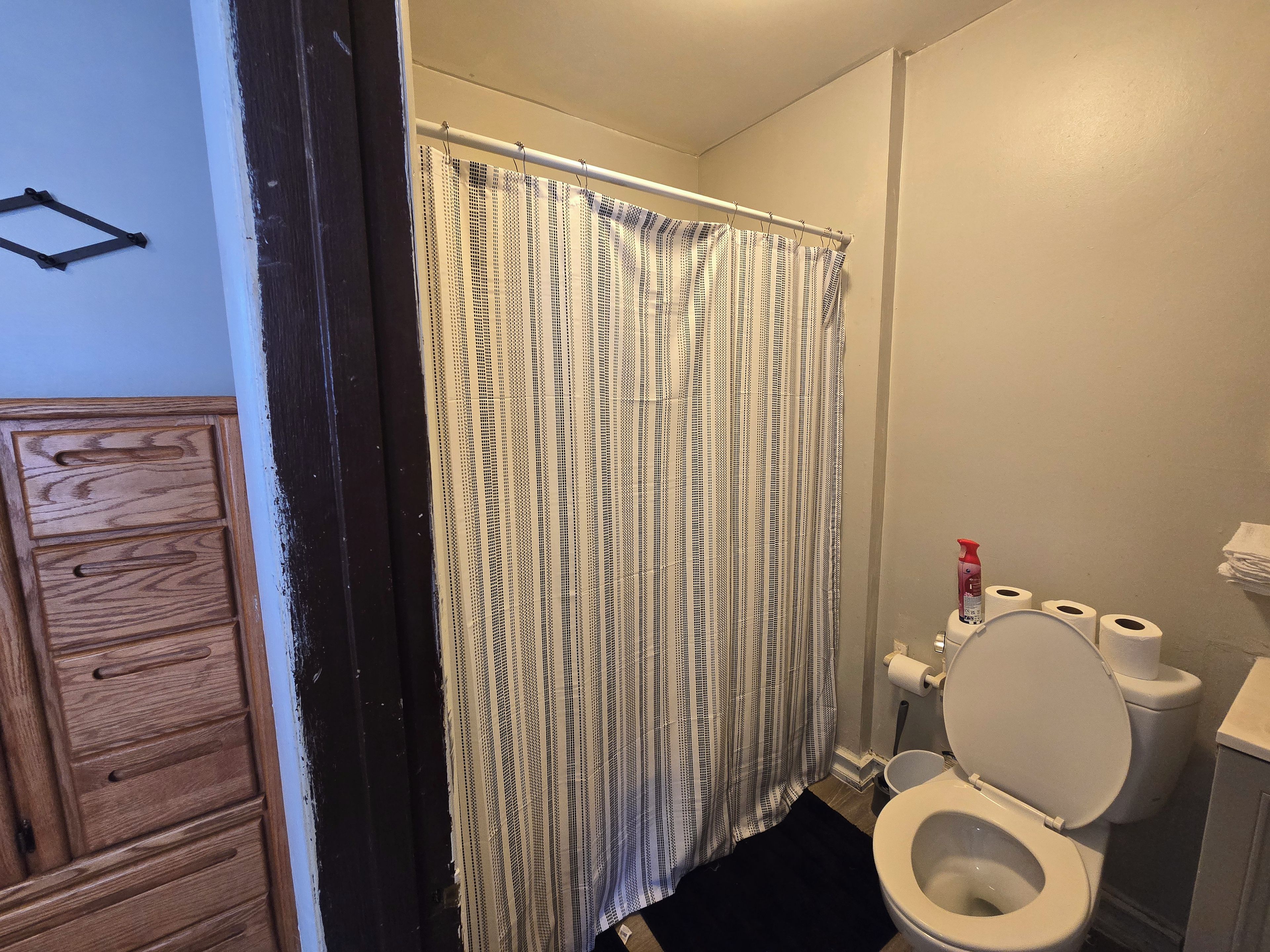 Ein Badezimmer mit Duschvorhang, Toilette und einem Holzkabinent
