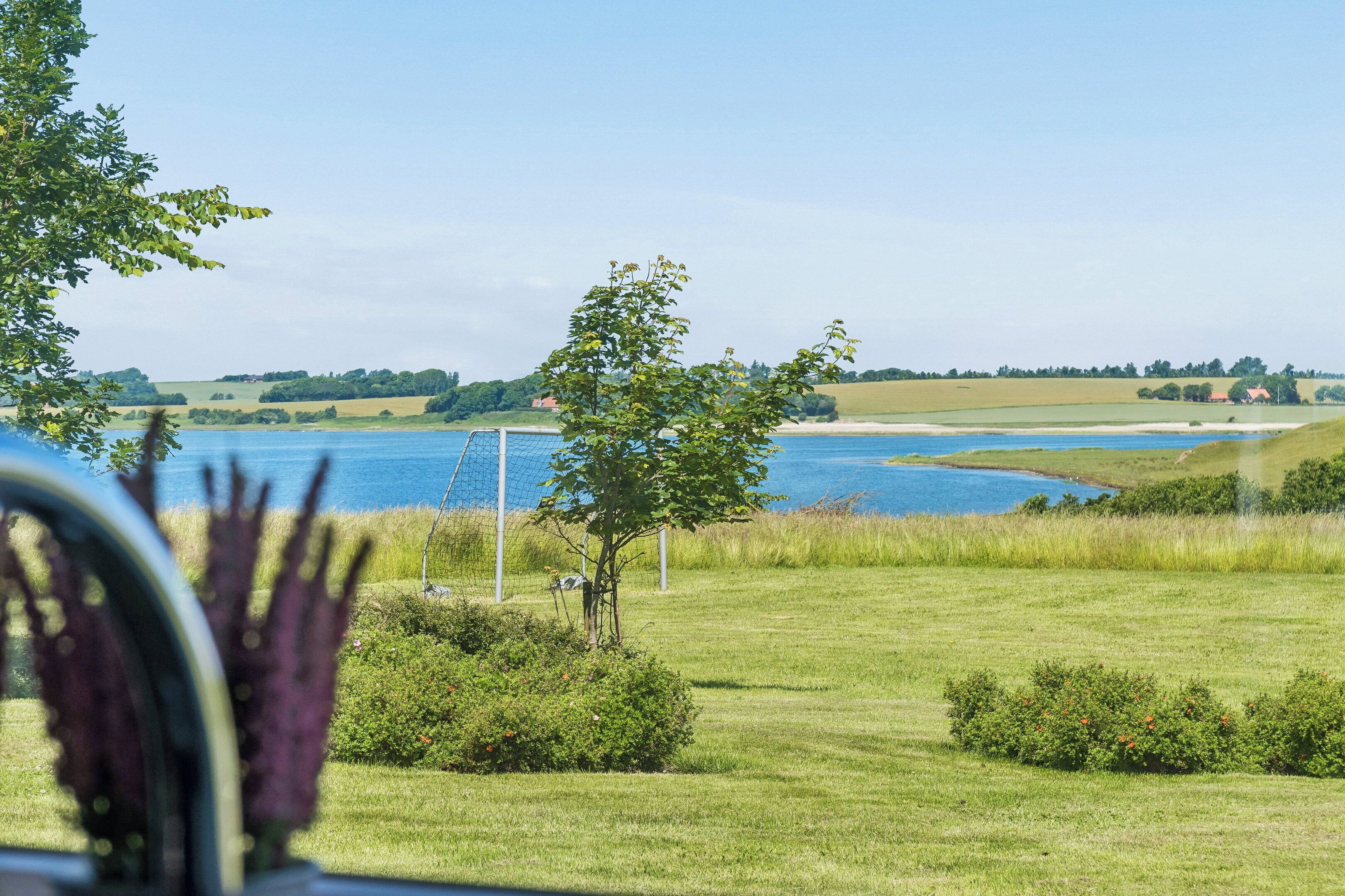 A view of a grassy field with a tree and a body of water in the background.