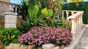 Um jardim com flores cor-de-rosa, folhagem verde e uma escadaria de pedra.