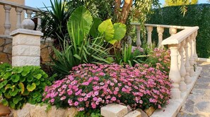 Ein Garten mit rosa Blüten, grünem Laub und einer Steintreppe.