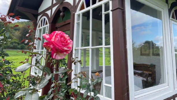 Un bâtiment traditionnel avec une grande fenêtre et une rose au premier plan.