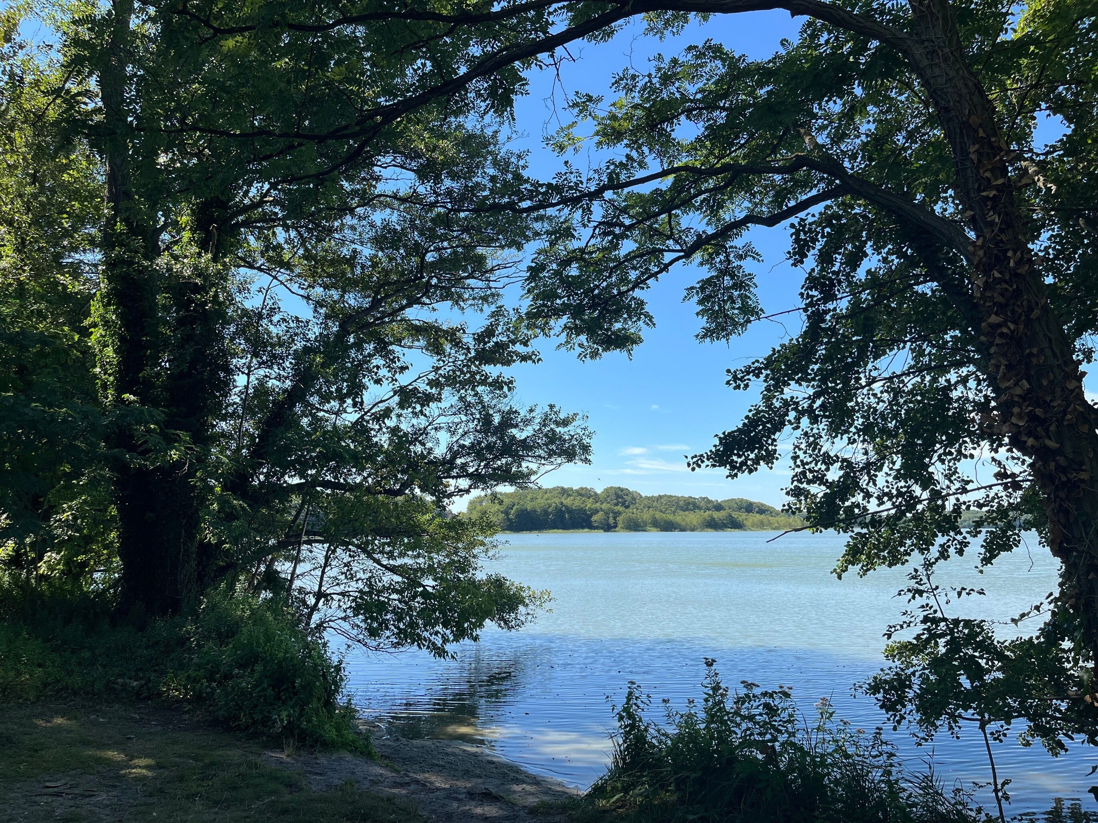 A natural landscape with a lake, surrounded by dense foliage and trees.