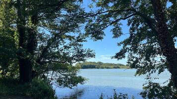 A natural landscape with a lake, surrounded by dense foliage and trees.