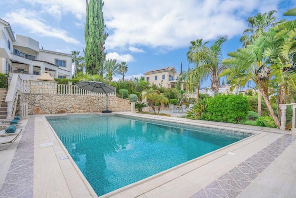 A swimming pool with a stone wall and a palm tree in the background.