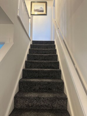 Un escalier dont les marches sont recouvertes de moquette, menant à un palier.